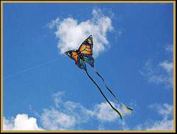 animal kite