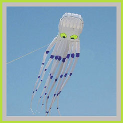 wind kites octopus